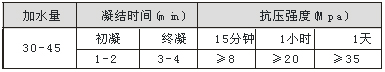 速效強力堵漏王